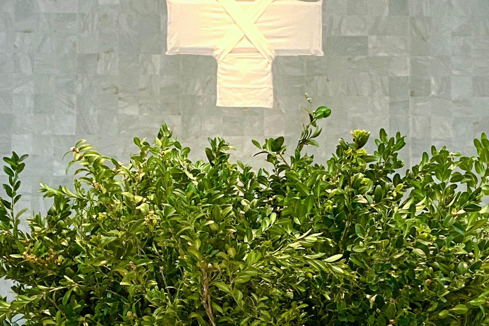 img_4630_by_Sylvio_Krueger_pfarrbriefservice